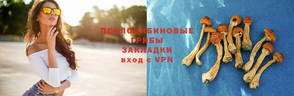 спайс Богородск