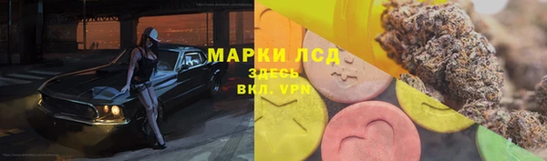 мдпв Богородицк
