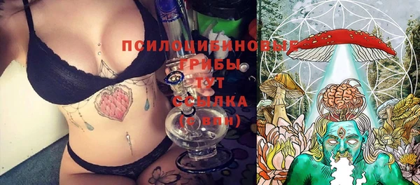 мдпв Богородицк
