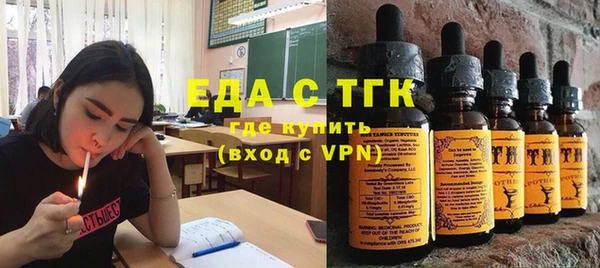 мдпв Богородицк
