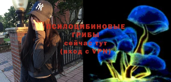 кокаин перу Богданович