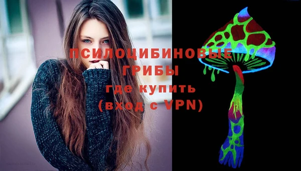 мдпв Богородицк