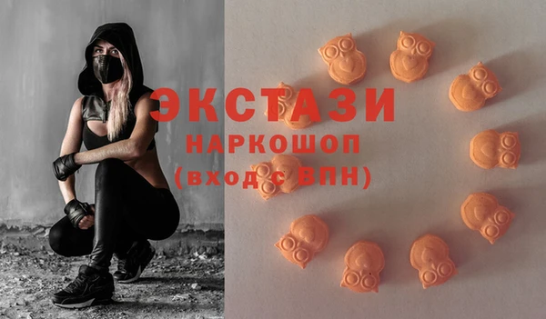 мдпв Богородицк