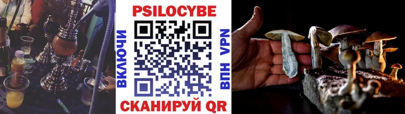 shop телеграм  Светогорск  Псилоцибиновые грибы Psilocybe 